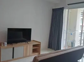 Studio Condo for rent at Diamond Suites Resort Condominium, Nong Prue, Pattaya