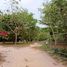  Land for sale in Prachin Buri, Na Di, Na Di, Prachin Buri