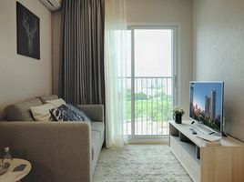 1 Bedroom Condo for rent at Noble Revolve Ratchada, Huai Khwang, Huai Khwang, Bangkok, Thailand