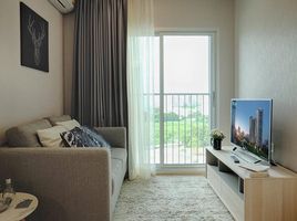 1 Bedroom Condo for rent at Noble Revolve Ratchada, Huai Khwang