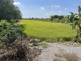  Grundstück zu verkaufen in Bang Bua Thong, Nonthaburi, Bang Khu Rat, Bang Bua Thong, Nonthaburi