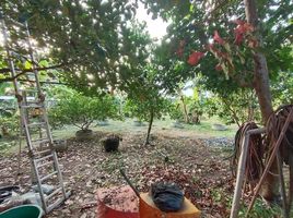 3 Schlafzimmer Haus zu verkaufen in Thung Khru, Bangkok, Bang Mot