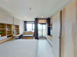 Studio Condo for rent at Life Sukhumvit 62, Bang Chak, Phra Khanong, Bangkok