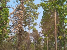  Land for sale in Mae Taeng, Chiang Mai, Sop Poeng, Mae Taeng