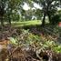  Land for sale in Bang Sao Thong Samut Prakan, Bang Sao Thong, Bang Sao Thong
