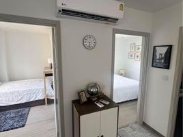 2 Bedroom Condo for rent at THE BASE Central Phuket, Wichit, Phuket Town, Phuket