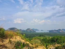  Grundstück zu verkaufen in Takua Thung, Phangnga, Khlong Khian, Takua Thung, Phangnga