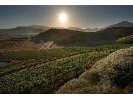  Grundstück zu verkaufen in Lujan De Cuyo, Mendoza, Lujan De Cuyo, Mendoza