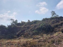  Land for sale in Bo Phut, Koh Samui, Bo Phut