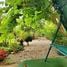 3 Bedroom House for sale at Promprieng Mountain View , Buak Khang, San Kamphaeng, Chiang Mai