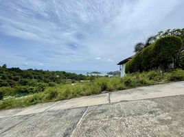  Grundstück zu verkaufen in Koh Samui, Surat Thani, Bo Phut, Koh Samui