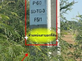 ขายที่ดิน ใน โพธาราม ราชบุรี, เตาปูน, โพธาราม