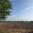 ขายที่ดิน ใน กุมภวาปี อุดรธานี, ปะโค, กุมภวาปี, อุดรธานี