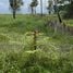  Land for sale in Taling Chan, Krabi, Taling Chan, Nuea Khlong, Krabi