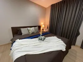 1 Schlafzimmer Wohnung zu vermieten im The Ace Ekamai , Khlong Tan Nuea