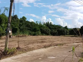  Land for sale in Mae Tha, Lamphun, Tha Khum Ngoen, Mae Tha