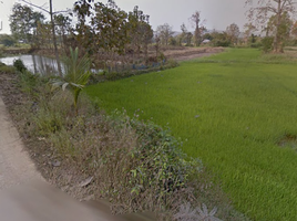  Land for sale in Si Satchanalai, Sukhothai, Pa Ngio, Si Satchanalai