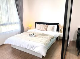 1 Bedroom Condo for rent at iCondo Salaya 2 The Campus, Sala Ya, Phutthamonthon, Nakhon Pathom