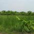  Land for sale in Thanyaburi, Pathum Thani, Thanyaburi