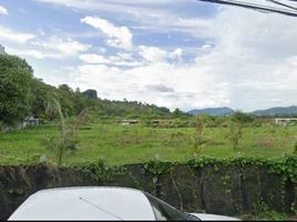  Land for sale in Malin Plaza, Patong, Patong