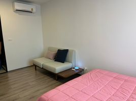 Studio Appartement zu verkaufen im KnightsBridge Collage Sukhumvit 107, Bang Na