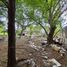  Land for sale in Sai Noi Nonthaburi, Thawi Watthana, Sai Noi, Nonthaburi