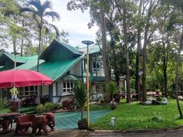 4 Schlafzimmer Haus zu vermieten in Hang Dong, Chiang Mai, Ban Pong, Hang Dong