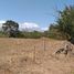  Land for sale in Ferricentro San Carlos, San Carlos, Las Uvas