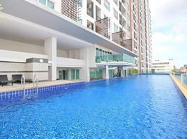 1 Schlafzimmer Wohnung zu vermieten im Regent Orchid Sukhumvit 101, Bang Chak, Phra Khanong