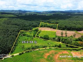  Land for sale in Mae Khao Tom, Mueang Chiang Rai, Mae Khao Tom