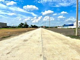  Land for sale at Pinthong Land Factory Mangkornthong 1, Lahan