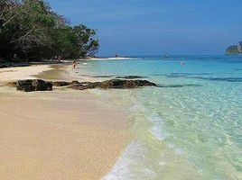  Land for sale in Pa Khlok, Phuket, Pa Khlok, Thalang