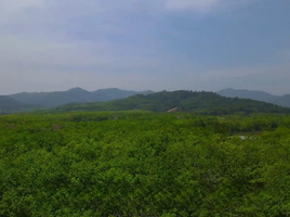  Land for sale in Thao Thep Kasattri Thao Sri Sunthon Monument, Si Sunthon, Si Sunthon