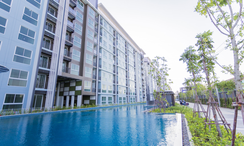 Фото 2 of the Communal Pool at IRIS Westgate