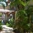 29 Schlafzimmer Hotel / Resort zu verkaufen in Cozumel, Quintana Roo, Cozumel, Quintana Roo