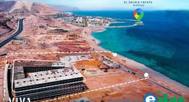 Доступные квартиры в Viva Al Sokhna Resort and Spa