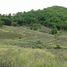  Land for sale in Pa Tueng, Mae Chan, Pa Tueng