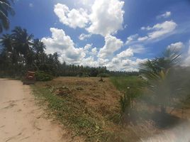  Grundstück zu verkaufen in Bang Saphan, Prachuap Khiri Khan, Thong Chai