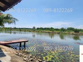  Land for sale in Chon Buri, Bo Kwang Thong, Bo Thong, Chon Buri