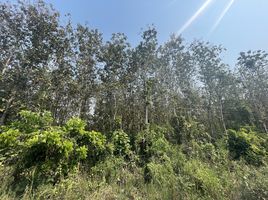  Land for sale in Thailand, Nong Phlap, Hua Hin, Prachuap Khiri Khan, Thailand