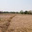 Land for sale in Mueang Udon Thani, Udon Thani, Nong Na Kham, Mueang Udon Thani