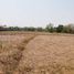  Land for sale in Udon Thani, Nong Na Kham, Mueang Udon Thani, Udon Thani