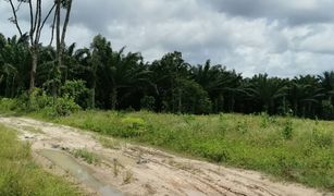 N/A Land for sale in Phela, Krabi 