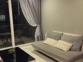 1 Schlafzimmer Appartement zu vermieten im Apus, Nong Prue, Pattaya