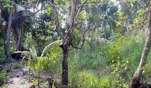 N/A Land for sale in Ko Kret, Nonthaburi 