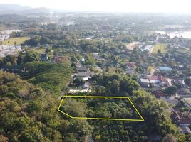 Land for sale in Rong Wua Daeng, San Kamphaeng, Rong Wua Daeng