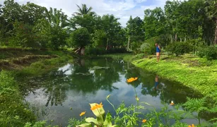 ขายที่ดิน N/A ใน ลิ่นถิ่น, กาญจนบุรี 