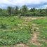  Land for sale in Thalang, Phuket, Pa Khlok, Thalang