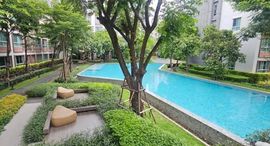 ยูนิตที่เหลืออยู่ในโครงการ D Condo Ping