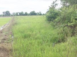  Land for sale in Chiang Rai, Rop Wiang, Mueang Chiang Rai, Chiang Rai